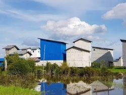 10 Persen Pajak Walet Akan Diberikan ke BUMdes