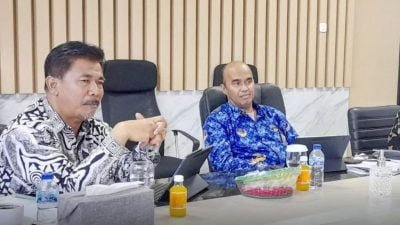 Sekda Jadi Mentor PKN Tingkat Dua LAN RI