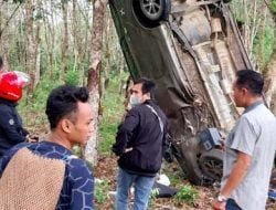 Lepas Kendali, Mobil Calya Nyangkut di Pohon Karet