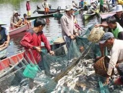 Hasilkan Dua Ton Per Hari, Desa Melintang Suplai Kebutuhan Ikan di Kaltim