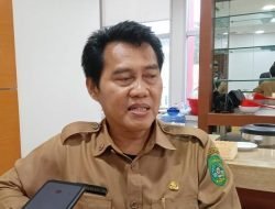 Dua Pabrik Pengolahan Buah Kelapa Akan Dibangun Tahun Ini