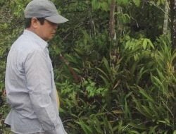 Menilik Indahnya Hutan Anggrek di Desa Kahala