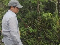 Menilik Indahnya Hutan Anggrek di Desa Kahala