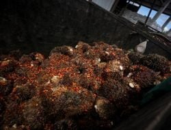 PSHE Minta Polda Kaltim Usut Tuntas Kasus Mafia CPO