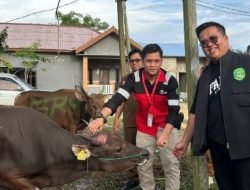 Wabup  Apresiasi Pemberian Hewan Kurban dari PT Ghani Raya Mandiri