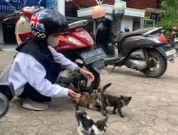 Pemkota Ingatkan Waspada Rabies, Masyarakat Masih Santai