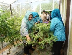 Begini Cara Posyandu Matahari Kelurahan Senipah Berdayakan Perempuan