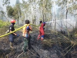140 Hektare Karhutla Terdata di Paser