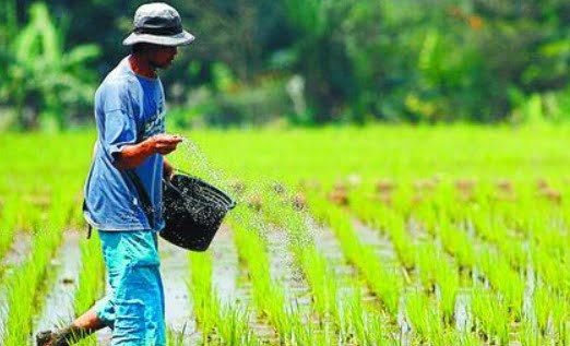 kelurahan maluhu dapat ADK rp 800 JUTA