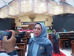 Wakil Ketua Komisi IV Minta Pemerataan Tenaga Kesehatan di Kaltim