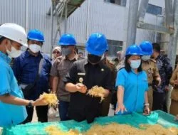 Pabrik Rumput Laut di Muara Badak Tinggal Menunggu Mesin Pengolahan