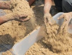 Tekan Harga, Pemkab Kukar Akan Bangun Pabrik Pakan Ikan