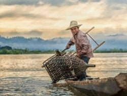 Kecamatan Samboja Kaya Potensi Perikanan dan Rumput Laut