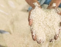 Cap Tugu, Beras Hasil Olahan BUMDes Loh Sumbar