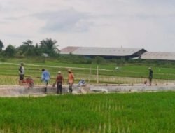 Bappeda Kukar-UGM Riset 3 Kecamatan Pertanian Terintegrasi Berbasis Kawasan