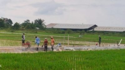 Bappeda Kukar-UGM Riset 3 Kecamatan Pertanian Terintegrasi Berbasis Kawasan