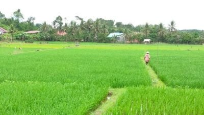 pertanian terintegrasi