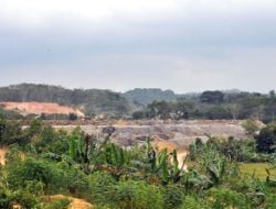 Desa Tani Bhakti Tetap Konsisten Pertahankan Bidang Pertanian