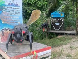 Menilik Potensi Madu Kelulut Khas Desa Teluk Dalam