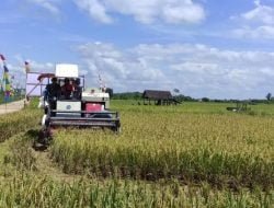 Rp 700 Miliar Disiapkan Pemkab Kukar untuk Kemajuan Pertanian