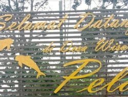 Selamatkan Pesut Mahkam Membawa Desa Pela Masuk 21 Besar Nominasi Kalpataru Nasional