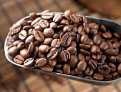 Inisiatif Sekda Kukar Tingkatkan Kualitas Kopi Lokal