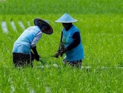 APBD Kukar 2025 Diprioritaskan untuk Penguatan Sektor Pangan