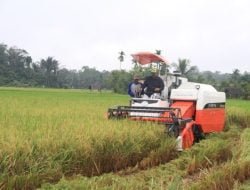 Menuju Swasembada Pangan, Tenggarong Seberang Perkuat Sektor Pertanian