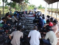 ABI Evaluasi Teknologi Budi Daya Padi di Lahan Sulfat Masam di PPU