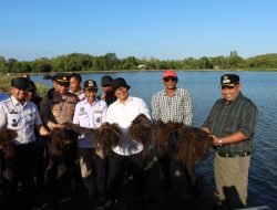Potensi Rumput Laut Tinggi, Pj Gubernur Ingin PPU-Paser Kerja Sama Bangun Pabrik