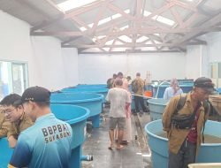 Diskan PPU Boyong 16 Pembudidaya Ikan Belajar ke Sukabumi