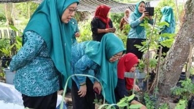 Ketua Tim Penggerak PKK PPU Monev 10 Program