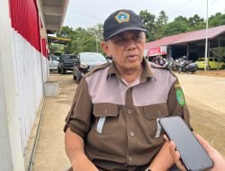 Pasokan Melimpah, Dinas Ketahanan Pangan Prediksi Harga Cabai di Kukar Stabil