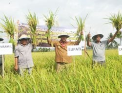 Kukar Krisis Regenerasi Petani, Mayoritas Sudah Berusia Lanjut