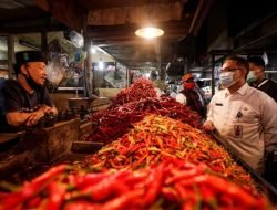 Harga Cabai di PPU Turun Jelang Idulfitri 1446 Hijriah