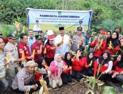 Ketahanan Pangan Lokal, Kecamatan Loa Janan Kembangkan Padi dan Jagung