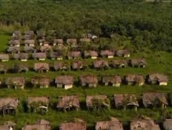 Bak Rumah Hantu, Perumahan PNS di Sangatta Terbengkalai, Rumput Sampai Naik ke Atap