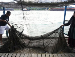 Pemangkasan Anggaran Berdampak Signifikan, Pemda Bisa Apa?!