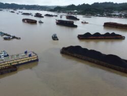 Pemangkasan RKAB Pertambangan Batu Bara Disebut Bakal Rugikan Kaltim