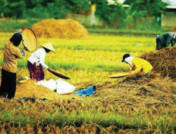 Menghadapi Gejolak Global, Mengakselerasi Ekspor Pertanian