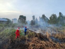 Karhutla Datang Hampir Setiap Hari, 4 Daerah Ini Paling Rawan