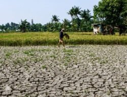 PPU dan Kukar Siap-Siap Hadapi Krisis Air