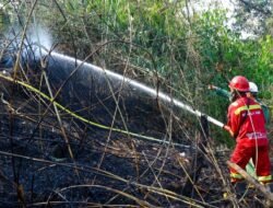 Otorita IKN Lancarkan Operasi Water Bombing di 5 Titik, Laporkan Pelaku Karhutla