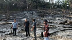 Bakar Lahan Pertanian Berujung Ditahan
