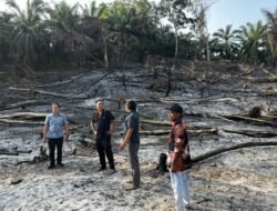 Bakar Lahan Pertanian Berujung Ditahan