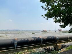 Sebanyak 5.320 Hektare Lahan Pertanian di Kaltim Terancam Kekeringan
