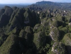 Oktober 2026 Ini, Penetapan Kawasan Karst Sangkulirang-Mangkalihat sebagai Geopark Nasional akan Dibahas