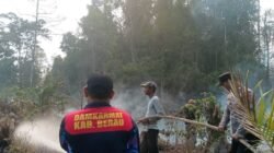 Karhutla Makin Membara, Status Bencana Nasional Belum Jadi Opsi Utama