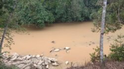 Warga 3 Desa di Paser Resah, Sungai di Wilayahnya Diduga Tercemar Aktivitas Tambang Emas Ilegal