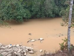 Warga 3 Desa di Paser Resah, Sungai di Wilayahnya Diduga Tercemar Aktivitas Tambang Emas Ilegal